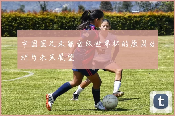中国国足未能晋级世界杯的原因分析与未来展望