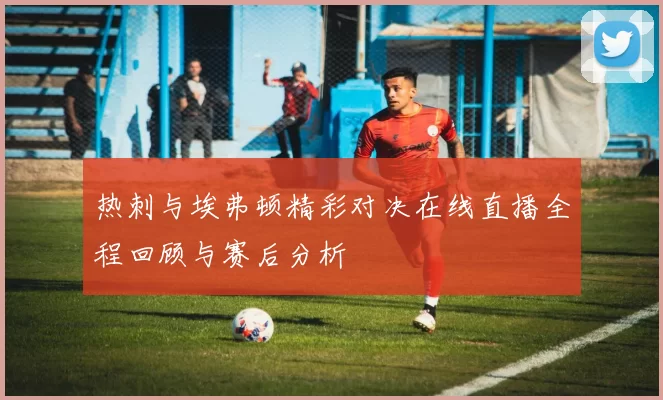 热刺与埃弗顿精彩对决在线直播全程回顾与赛后分析